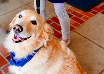 Do vsetínské nemocnice mohou zase dobrovolníci