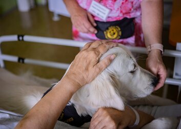Dobrovolníci ve zlínské nemocnici