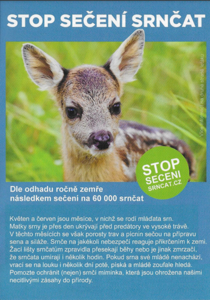 Snímek-20240324224731